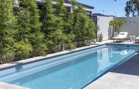 Modern fibreglass swimming pool in a Sunshine Coast backyard featuring clean lines, landscaped screening and contemporary outdoor living.