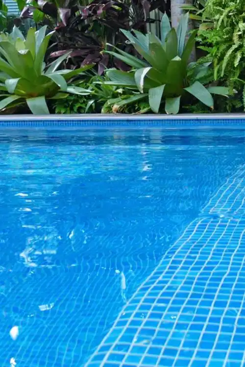 Blue tiled concrete swimming pool surrounded by tropical landscaping on the Sunshine Coast.