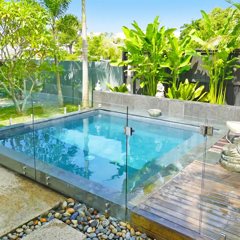 Custom concrete plunge pool with glass pool fencing and tropical landscaping on the Sunshine Coast