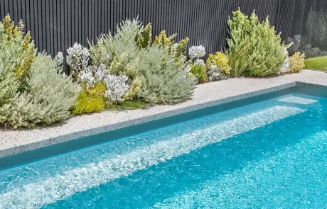Fibreglass swimming pool built by a Peregian pool builder for a modern Sunshine Coast home